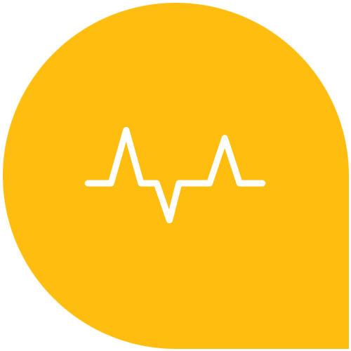 Human biorhythms